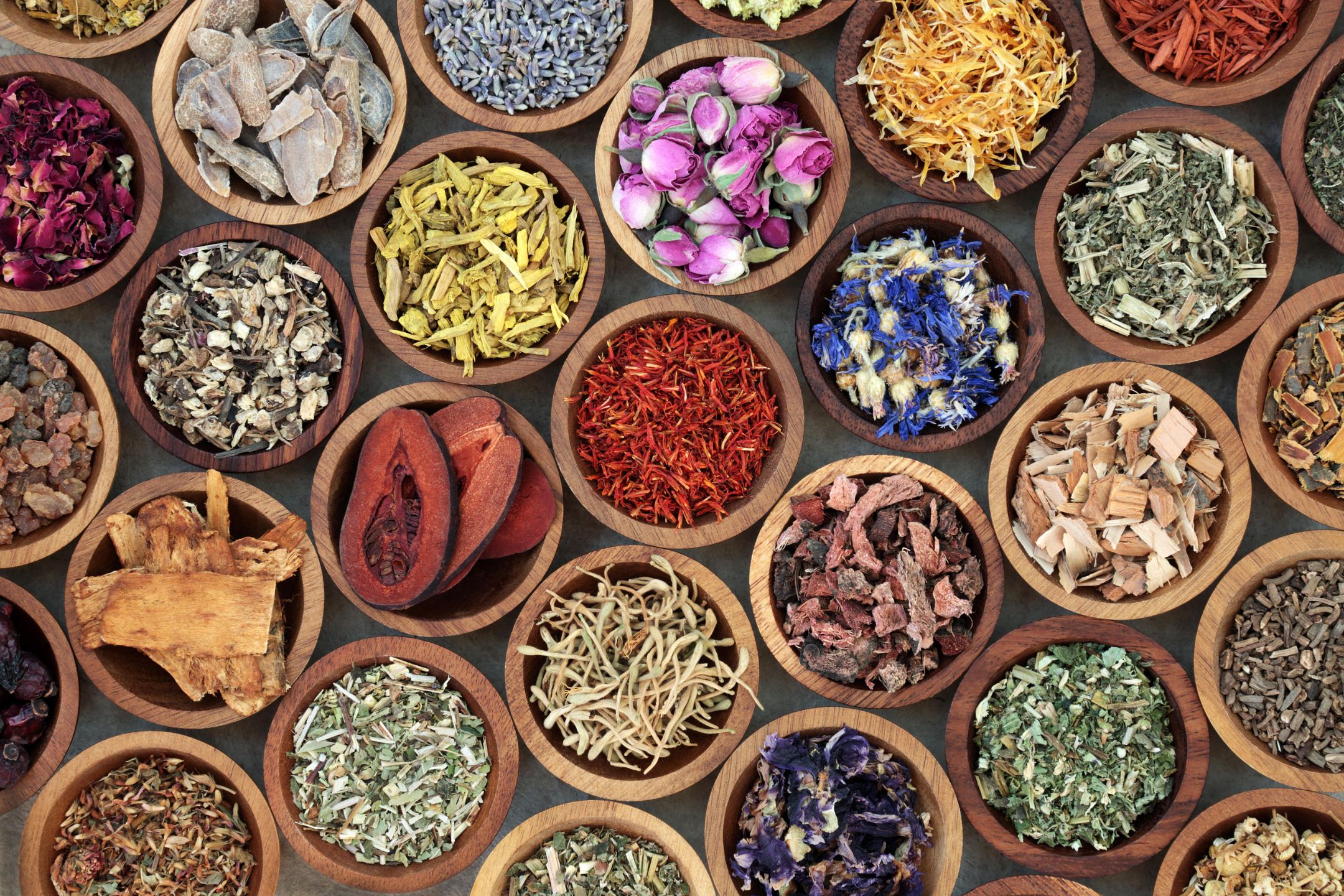 Dwija Ayurveda Treatment